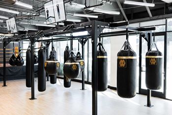 a row of punching bags in a boxing gym